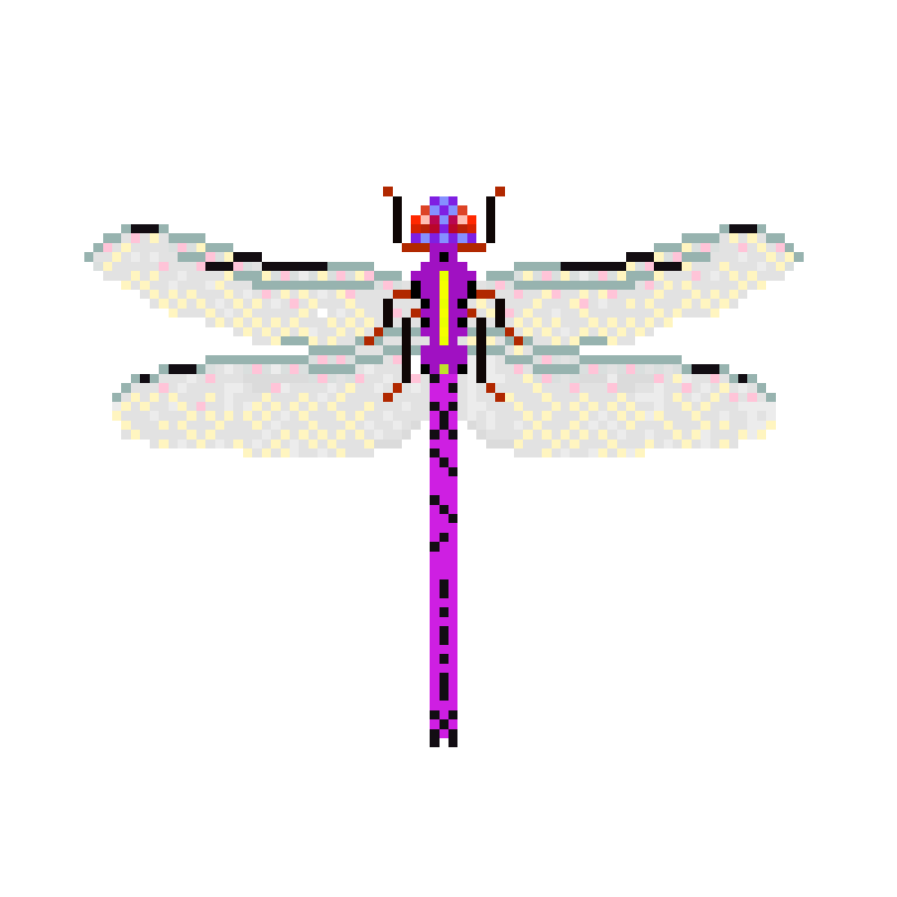 NFT 12