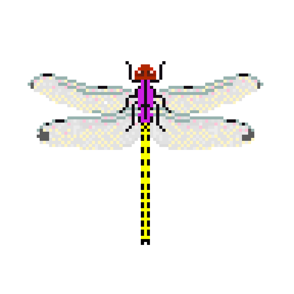 NFT 4